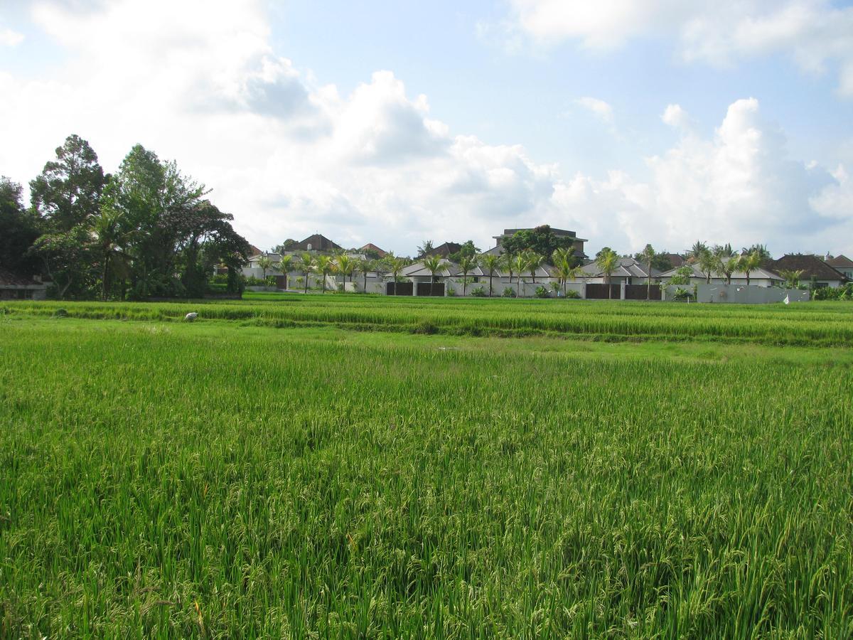 Pondok Mesari House 우붓 외부 사진