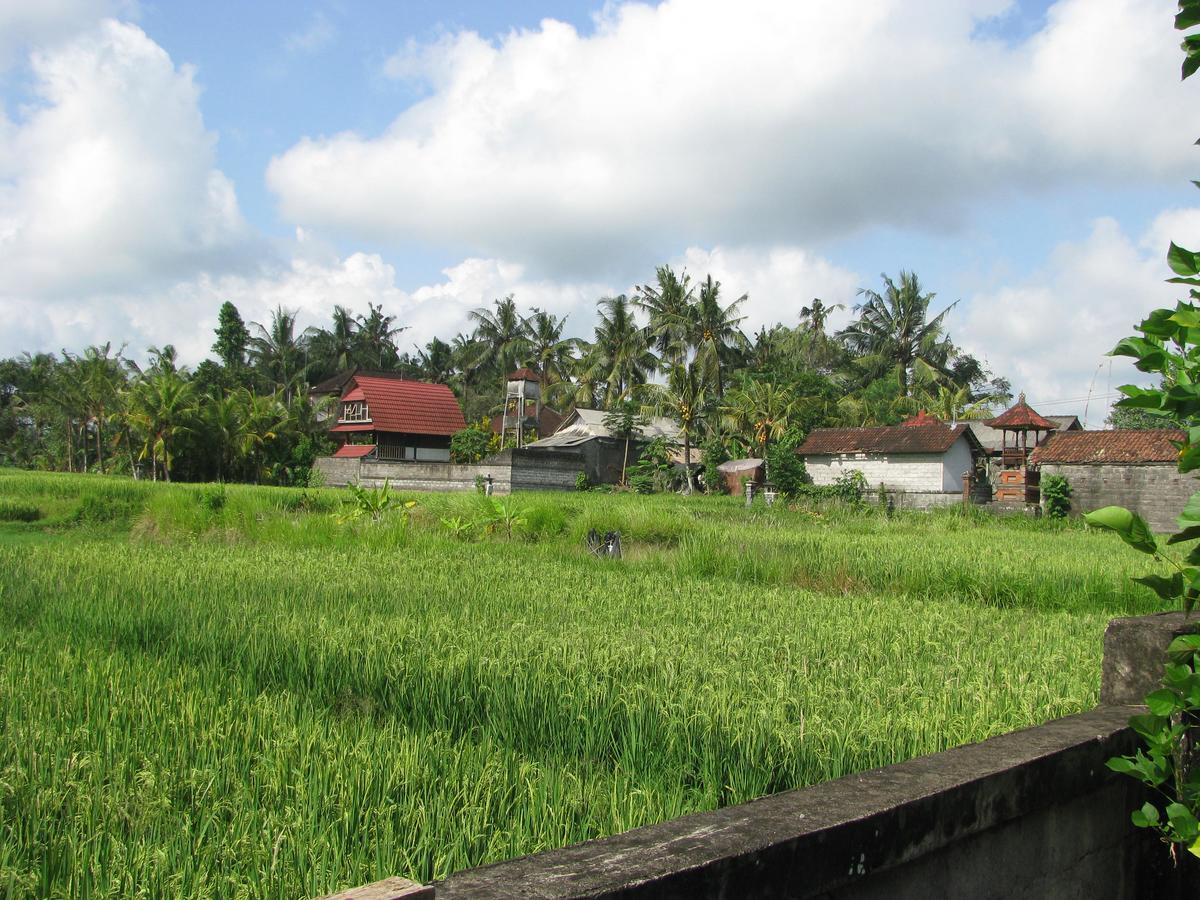 Pondok Mesari House 우붓 외부 사진